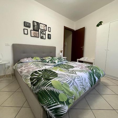 Castelli Home - Castelli Apartments Албано Лациале Екстериор снимка
